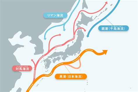 北太平洋暖流|日本暖流